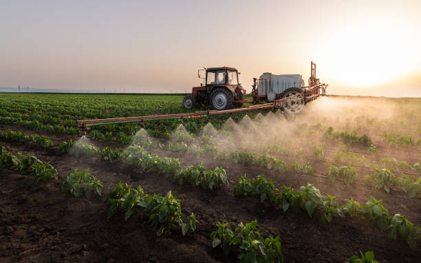 Best Pest Control Cost  in Nicholls, GA
