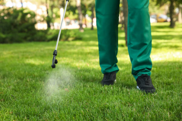 Best Mosquito Control Services  in Nicholls, GA