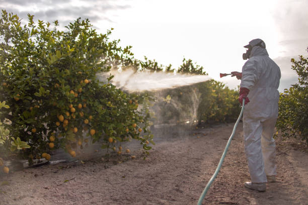 Best Exterminator Services  in Nicholls, GA