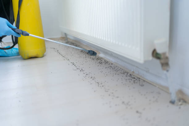 Nicholls, GA Pest Control Company