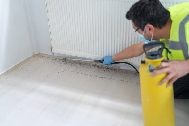 Pest Prevention Services in Nicholls, GA